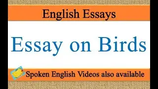 Write an essay on birds in english | Essay writing on birds in english | birds Essay in English