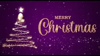 Merry Christmas! 2025!