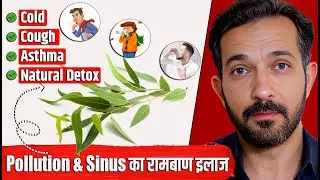 Pollution & Sinus Relief | Eucalyptus Steam Benefits in Hindi | Cold, Cough & Asthma Care