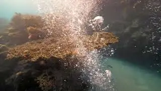 Panasonic LUMIX G9 UNDERWATER test in Ikelite Housing EGYPT