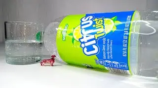 Unboxin Doxin - Summit Citrus Twist Lemon Lime Soda