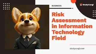 Risk Assessment in Information Technology Field - Essay Example