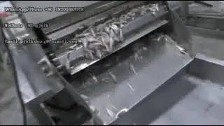Little Fish Washing and Frying Machine Small Fish Cleaning Machine