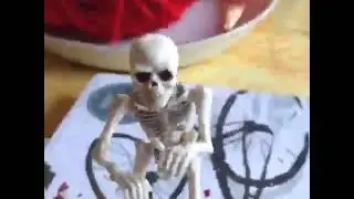 Pose skeleton animation test