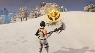 Fortnite: Basement Film Camera, Snowy Stone Head, Flashy Gold Big Rig Location