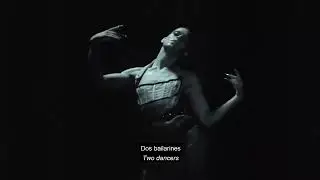 Arca & Las Hijas Del Destino - Delfines  (Lyric Video)