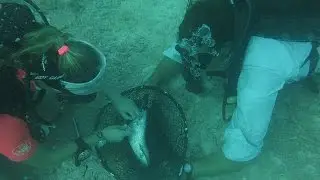 Nancy Foster Research Expedition