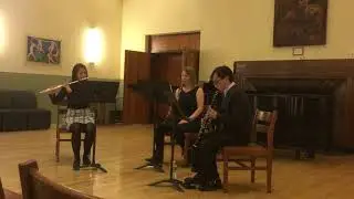 Rosamunde D.797, Entracte III Franz Schubert (1797-1828)
