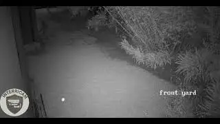 Interricam Off Site Monitoring #crime #cctv #interricam #CrimeNews #CrimeWatch  #southafricancrime