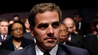 Wolf of Wall Street claims Hunter Biden is 'obvious' cocaine culprit
