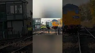 CLASS 31 