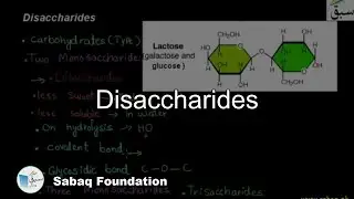 Disaccharides, Biology Lecture | Sabaq.pk
