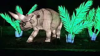 Bergzoo Halle Lichterwelten 2025
