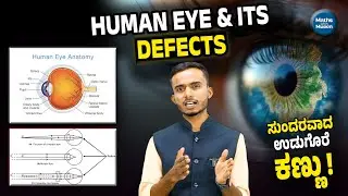 Defects of Vision and Their Correction | Human Eye Class 10 | Maths With Mueen