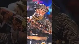 catsoldier