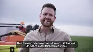 SPRUCE Herbicide Formulation