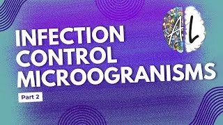 🦠 Microorganisms & Infection: Bacteria vs. Viruses, Treatment & Prevention! 💊🧫