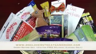 Unboxing a HOLIDAY TREAT BOX from Dog Lovers Treats + More!