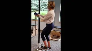 Xiser Steppers