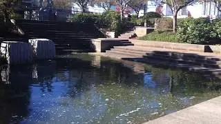 Outside fountain at Metrotown in Burnaby Kingsway and Nelson Hudson's Bay Part 2 Video