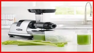 Discover the Best Juicer for Celery and More: Boost Your Immunity with Every Glass