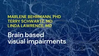 Brain Based Visual Impairments &bull;  Marlene Behrmann, PhD, Terry Schwartz, MD, Linda Lawrence, MD