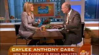 Caylee Anthony Case Analysis