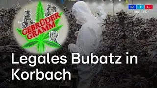 Erste legale Cannabis-Ausgabe in Korbach: &bdquo;Gebr&uuml;der Gramm&ldquo; machen&rsquo;s offiziell
