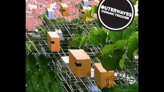 Outerwaves - Big Cats