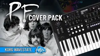 KORG WAVESTATE / MkII / Se / Native ♫ 88 пресетов Floydian ► НАБОР КАВЕРОВ PF