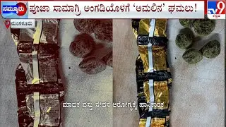 100 Kg Chocolate Laced With Narcotic Drugs Seized In Mangaluru | #TV9A