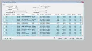 AddonSoftware Productivity Tip-  Remote Payment Authorization