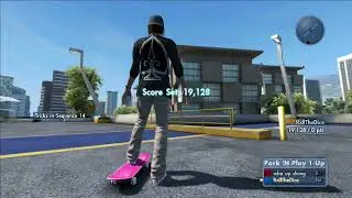 Skate 3: Steezy All Over 19k pnp