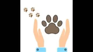 Dogs vs Cats....Who eats how?