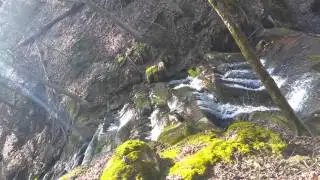 Dolan branch falls