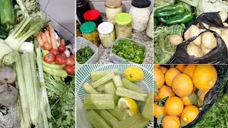 كفاه نتعامل مع خضر وتكفيني لاطول مدة🤔  مشترياتي من خضر وفواكه عشر أيام ثانية من جانفي🫑🍅🍆عولة وتصبير 