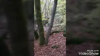 25 km Tagesritt im L&ouml;stertal