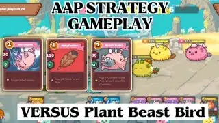 Axie Infinity |Backdoor PAA vs Bird (Dark swoop + Risky feather + Surrender arrow) vs|Off Season20