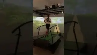 Motek and A4SEE activities