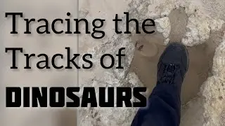 Tracing the Tracks of Dinosaurs on the Paluxy River (Glen Rose, Texas)