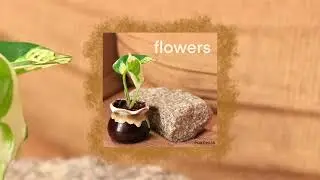 flowers | Foxmoss &mdash; Trans Music
