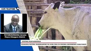 Gisagara - Muyira: Babangamiwe no kuba inka za Girinka zarikubiwe n'abayobozi