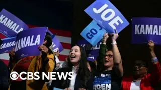 Democratic National Committee to vote on changing the primary calendar
