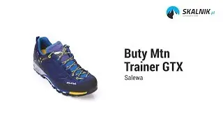 Buty Salewa Mountain Trainer GTX SE - skalnik.pl