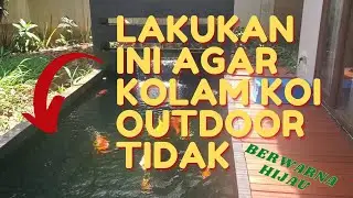 Lakukan ini agar kolam koi outdoor tidak berwarna hijau!!