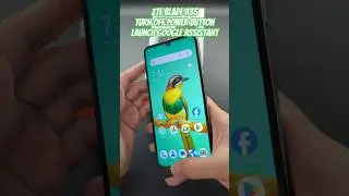 ZTE Blade A35 Turn off Power Button Launch Google Assistant