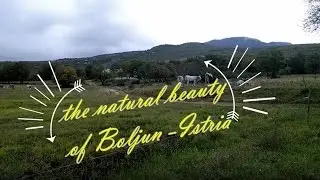 BOLJUN ISTRIA