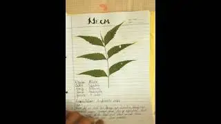 Herbarium file of Medicinal plants