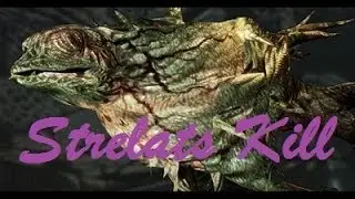 Resident Evil 6 Agent Hunt (Strelats Kill)