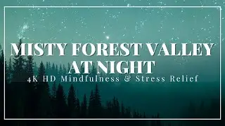 Misty Forest Valley at Night | Ambience, Stress Anxiety Relief, Mindfulness | No Interruptions 4K HD